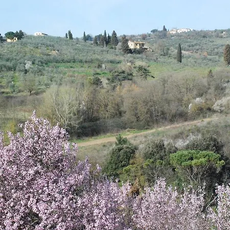 Gli Oleandri Di Belfiore *