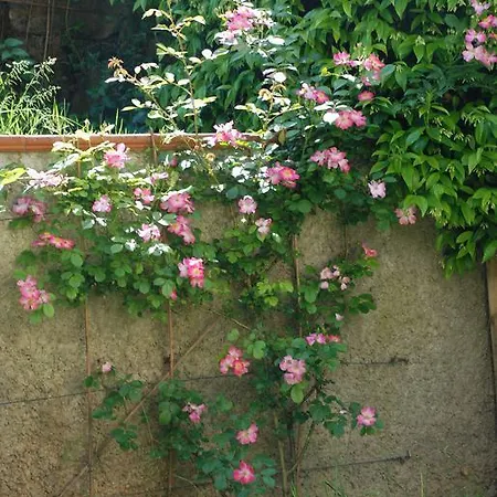 펜션 Gli Oleandri Di Belfiore